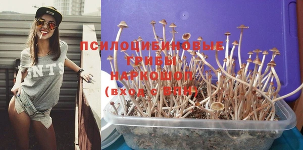 a pvp Белоозёрский