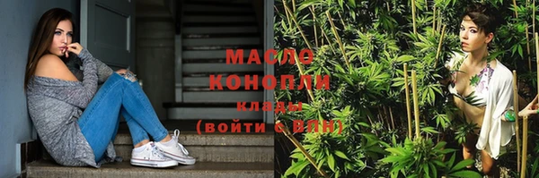 спиды Богородицк