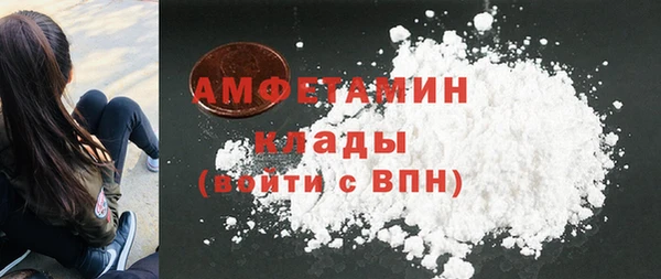 спиды Богородицк